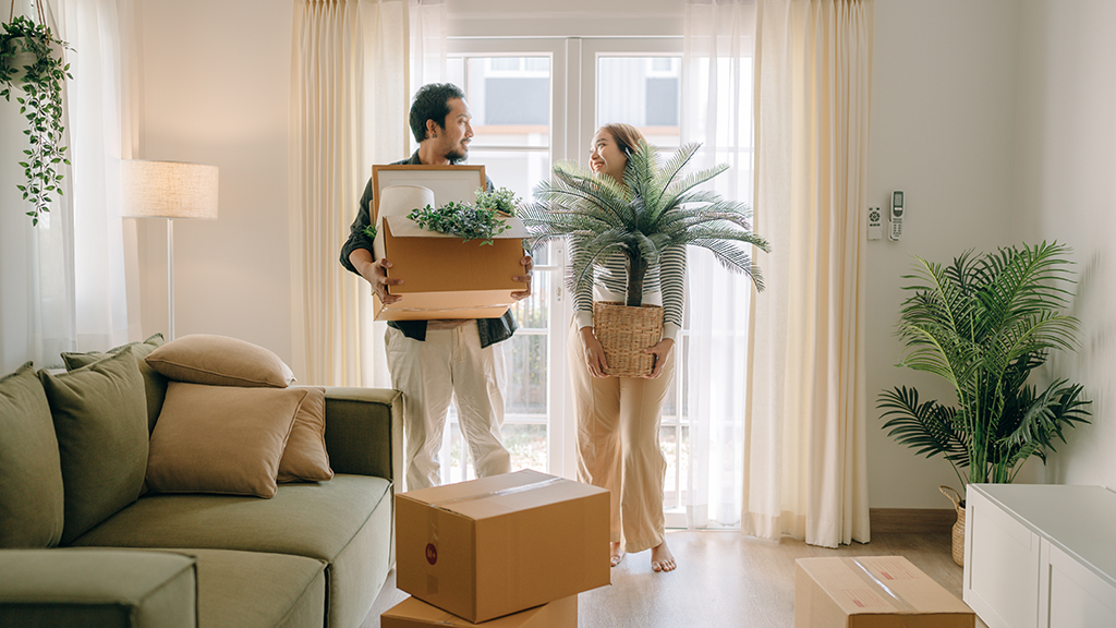 A couple looking at each other as they carry boxes and a plant.